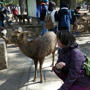 Meet your Posher, Brittney